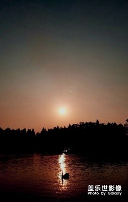 拍才知道+我的蓋樂世S8+真不錯