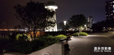 深圳紅樹(shù)林