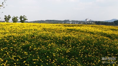 ……入冬時(shí)