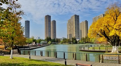 秋去初寒，層林盡染，霜重色愈濃。