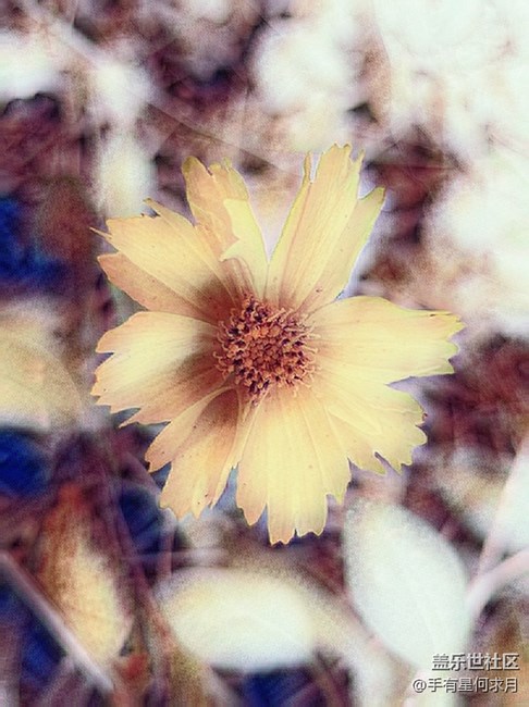 有人知道S8慢動作錄制視頻是多少FPS嗎？