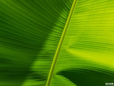 我眼中的十一月+隨手拍