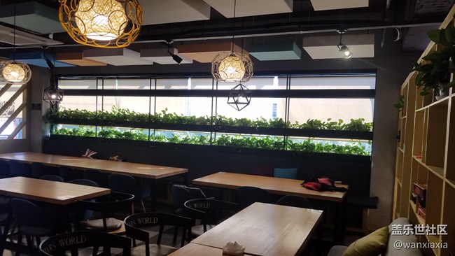 【活動(dòng)回顧】雙十一單身狂歡派對(duì)！汪！回顧