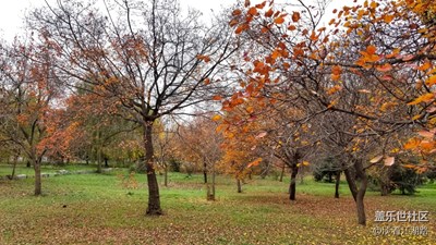 我眼中的十一月+暴走臨潼