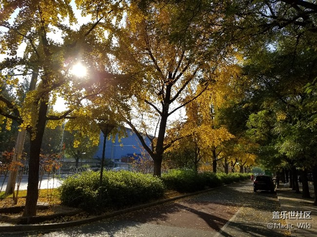 據(jù)聽說11月15號還有3萬名公測名額，是真的假的？