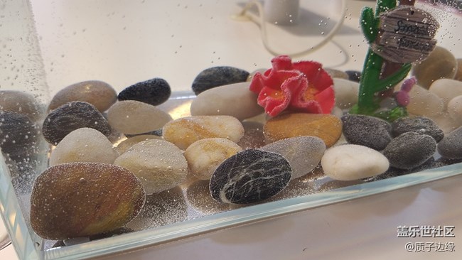 雙11重慶星部落NOTE8評(píng)鑒會(huì)