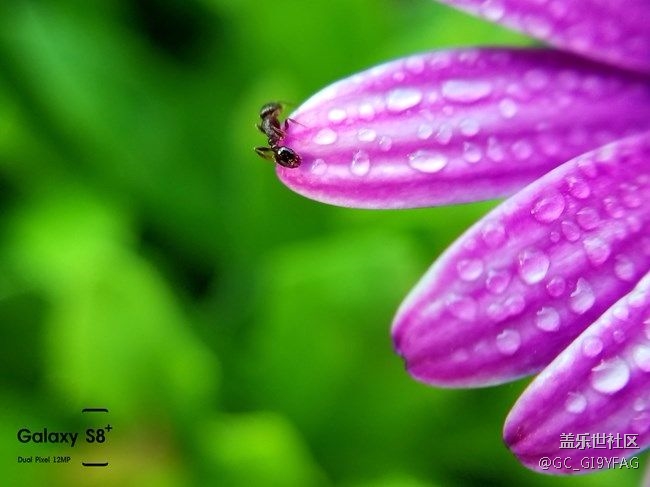 s8＋拍照怎么顯示時間，順便問下有沒有手機(jī)型號水??？如圖