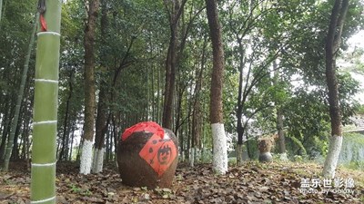 杯中不覺老， 林下更逢春