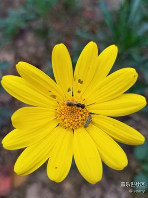 公園隨手拍系列1