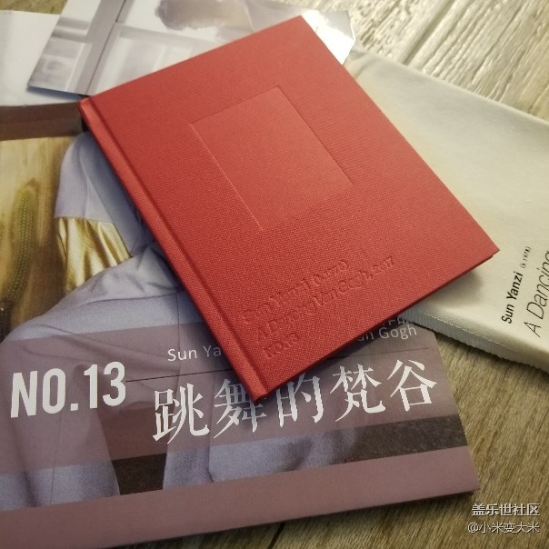 用s8拍攝孫燕姿新專輯