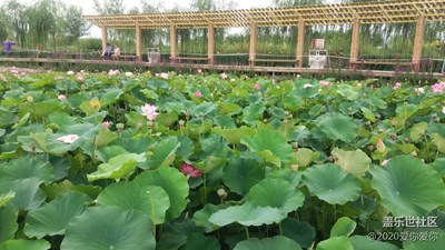 張掖國(guó)家濕地公園