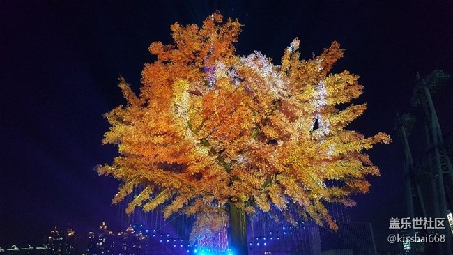 再發(fā)一波照片