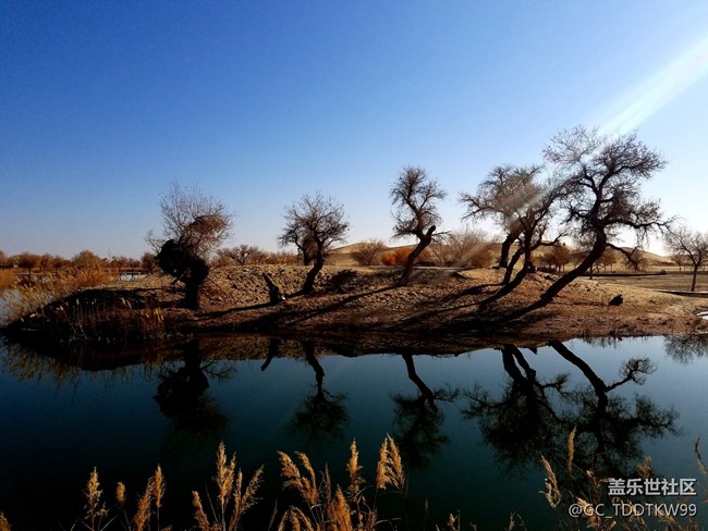 七姨拍攝   無后期  大家給個評價