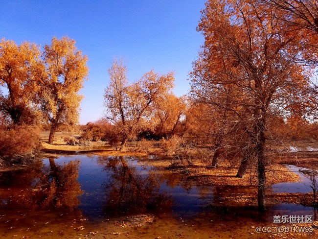 七姨拍攝   無后期  大家給個評價