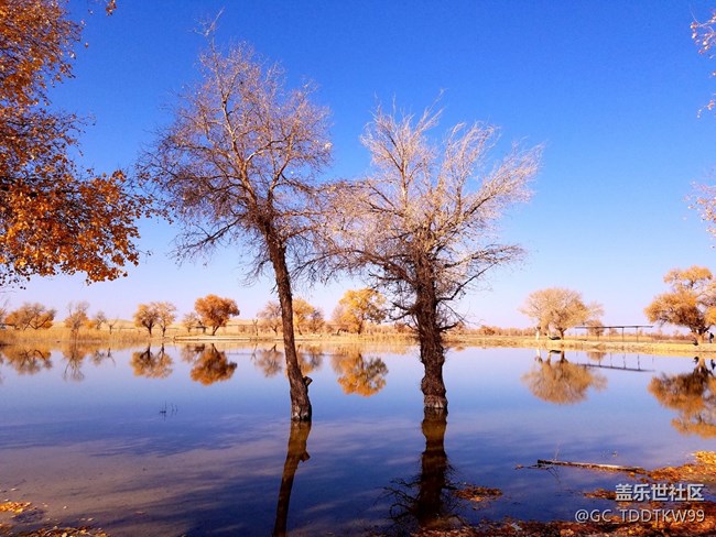 七姨拍攝   無后期  大家給個評價