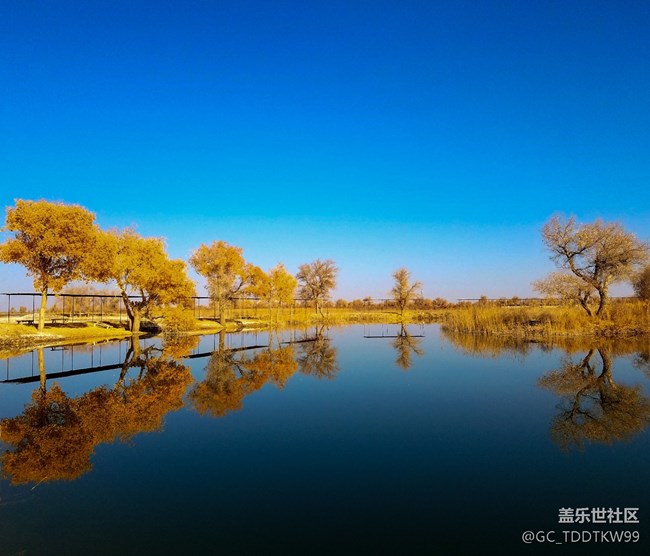 七姨拍攝   無后期  大家給個評價