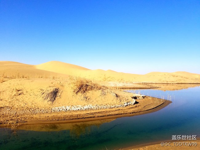 七姨拍攝   無后期  大家給個評價