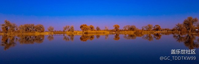 七姨拍攝   無后期  大家給個評價