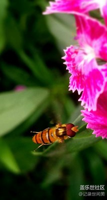 《拾憶》+2017的一年四季