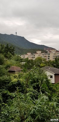 深圳梧桐山