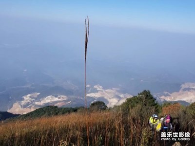 note8拍照歷害