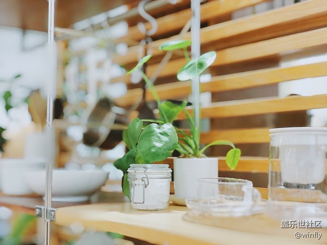 強烈建議相機加入focos軟件功能