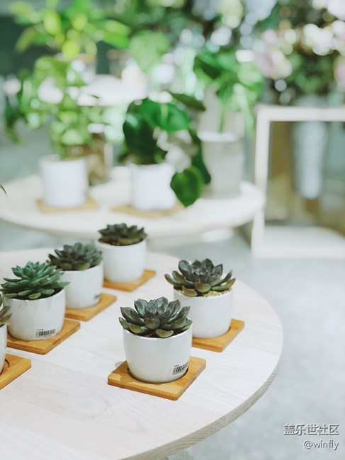 強烈建議相機加入focos軟件功能