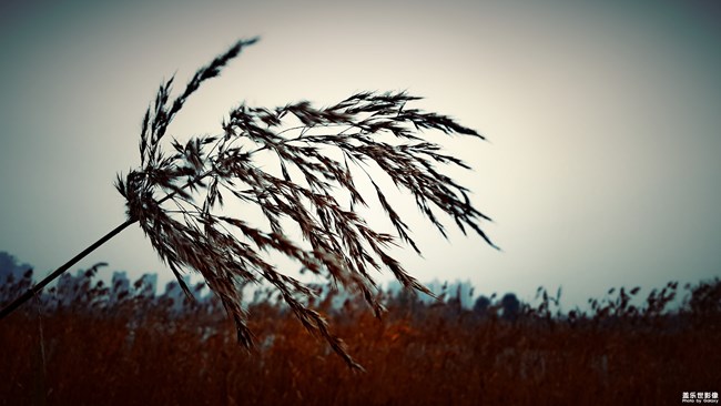 【每周精帖匯】第80期：Note8百人體驗正在進行中！