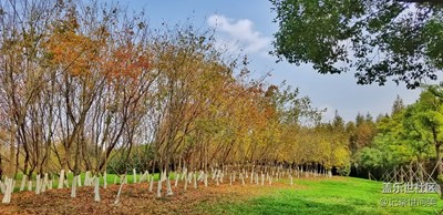 《拾憶》+初冬秋景在
