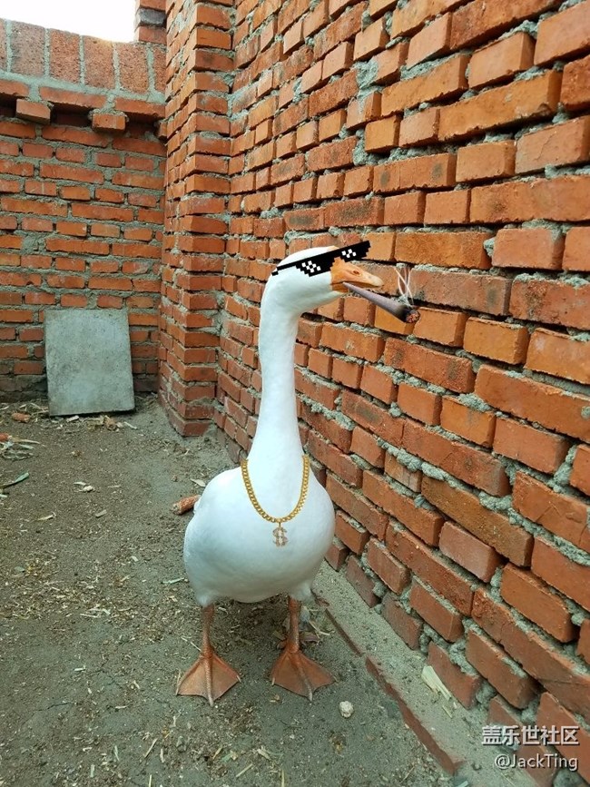 調(diào)查：各位大佬，QK3目前發(fā)現(xiàn)哪些Bug？