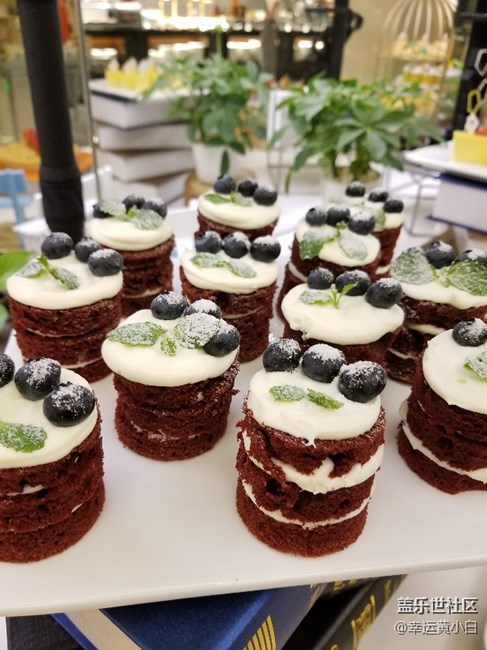 我的感恩節(jié)。