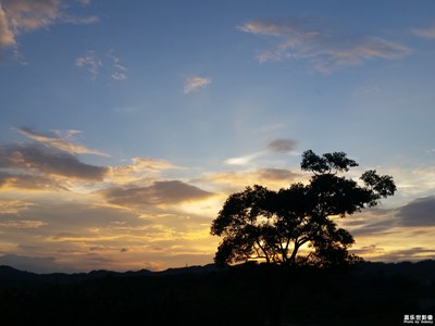 有些回憶，總是那般令人懷念。