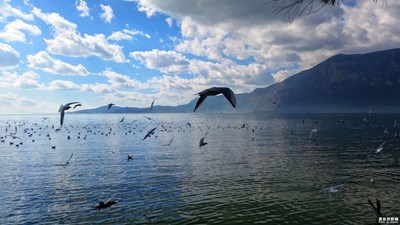 《拾憶》+致，我的2017