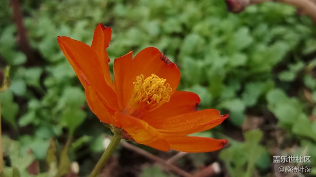 【C8體驗(yàn)團(tuán)】【圖文】喜吧（c8）歡樂(lè)頌