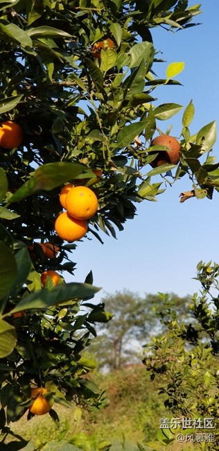 關(guān)于實時對焦