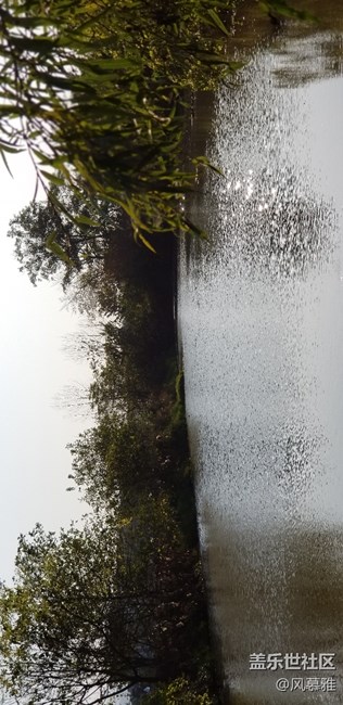 關(guān)于實時對焦