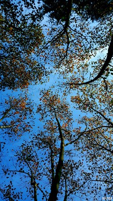 分享，“美”一刻。