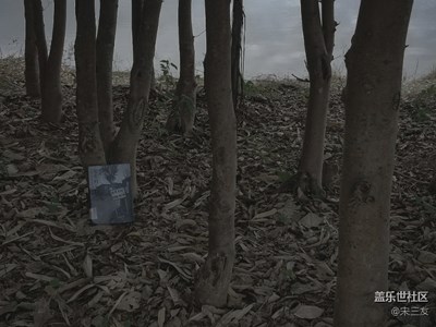 2017/11/28   本行（書林）