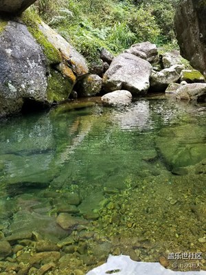 涓涓溪流(生態(tài)圖組)
