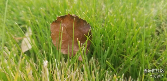 三星Note8國行版拍照輕體驗：代表了安卓旗艦產(chǎn)品的最高水準