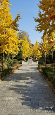 最是那一抹冬日暖陽(yáng)