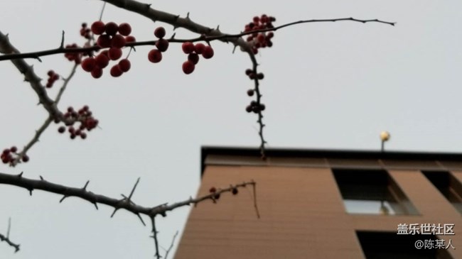 三星Note8國行版拍照輕體驗：代表了安卓旗艦產(chǎn)品的最高水準