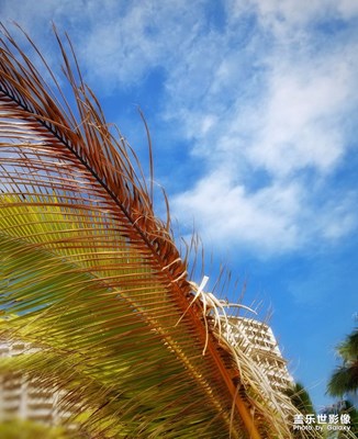 閑游北京、三亞