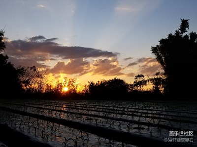 瑞麗與緬甸，邊境的斜陽