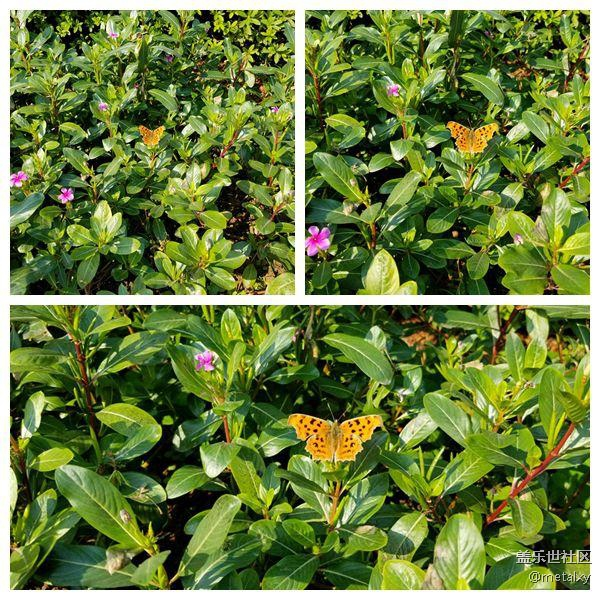 【Note8百人體驗(yàn)團(tuán)】[圖文類]Note8在手，感覺自己帥到開掛