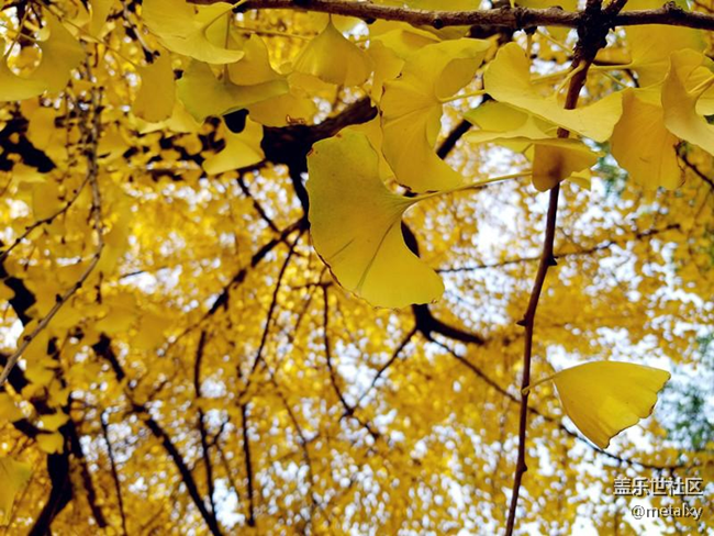 【Note8百人體驗(yàn)團(tuán)】[圖文類]Note8在手，感覺自己帥到開掛