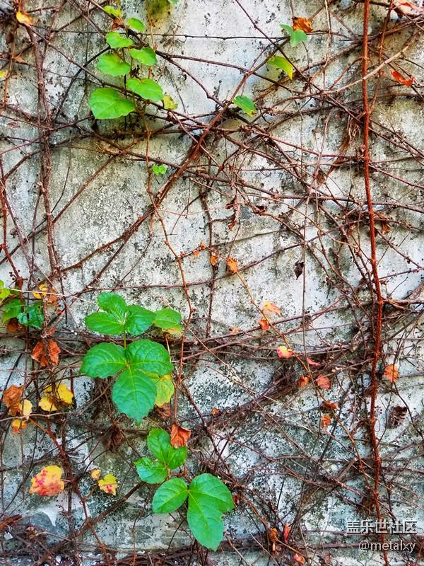 【Note8百人體驗(yàn)團(tuán)】[圖文類]Note8在手，感覺自己帥到開掛