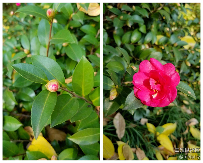 【Note8百人體驗(yàn)團(tuán)】[圖文類]Note8在手，感覺自己帥到開掛