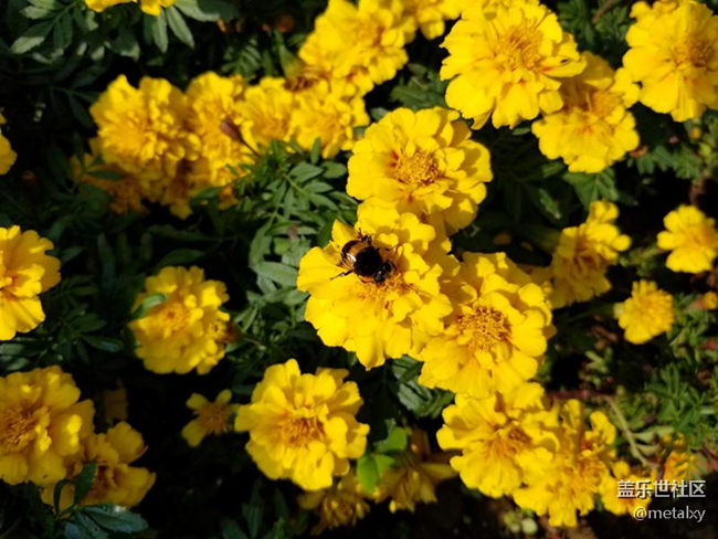 【Note8百人體驗(yàn)團(tuán)】[圖文類]Note8在手，感覺自己帥到開掛