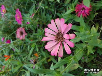 國(guó)行S8發(fā)來(lái)幾張拍照！